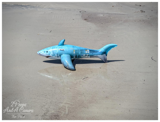 An inflatable blue and white shark toy rests on a sandy beach near the water line, casting a small shadow.

The shark is deflated, giving it a somewhat mournful or defeated appearance.