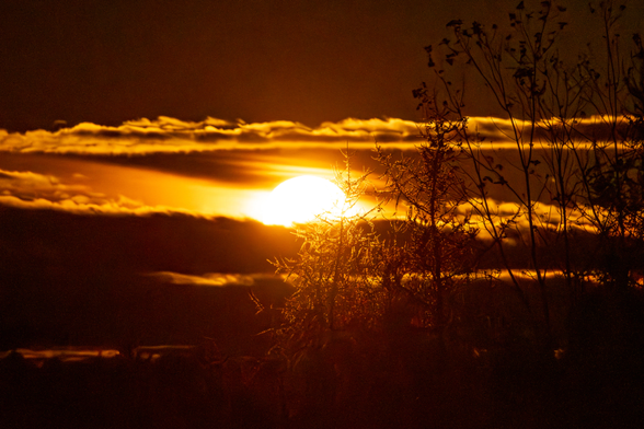 A very bright sun through clouds and silhouetted trees