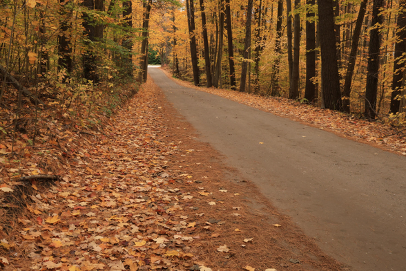 This is an autumn season photo of a straight portion of a long driveway into the parking lot of a hiking trail. The shoulders on both sides of the unpaved driveway are covered with fallen leaves. Trees line both sides, as the lane cuts through a mature forested area. The entrance from the road can be seen in the distance in the photo.  