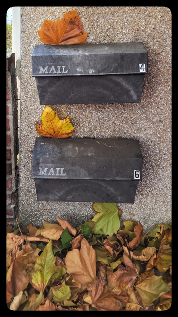 This image shows two mailboxes for the two units in the house, mounted one above the other on the same wall. There is a pile of sycamore leaves in the bottom of the frame, and the wind has wedged one leaf in almost the exact same place at the top of each mailbox.