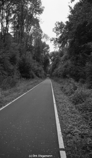 Die Radbahn im Münsterland bei Horstmar.