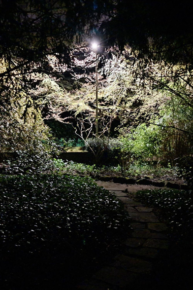 "Darkness falls across the land, the midnight hour is close at hand, creatures crawl in search of blood, to terrorize y’all’s neighborhood." 

The chilling words of Vincent Price in Michael Jackson's 'Thriller', are making me want to get outdoors and do some badly coordinated dancing 