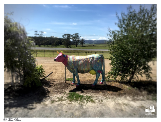 A brightly painted, life sized fiberglass cow stands in a dirt and grass area, framed by green foliage on the left and right.

The cow is decorated with vertical streaks of pink, blue, yellow, and green paint, giving it a tie dye or splatter paint look.

It has pink accents on its head and legs, including pink hooves. In the background, there's a flat, open field, and rolling hills under a bright, partly cloudy blue sky.