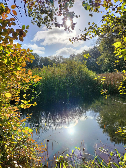 Photo de lac avec lumière se reflétant dans l'eau, ciel bleu avec nuage et verdure qui encadre la photo