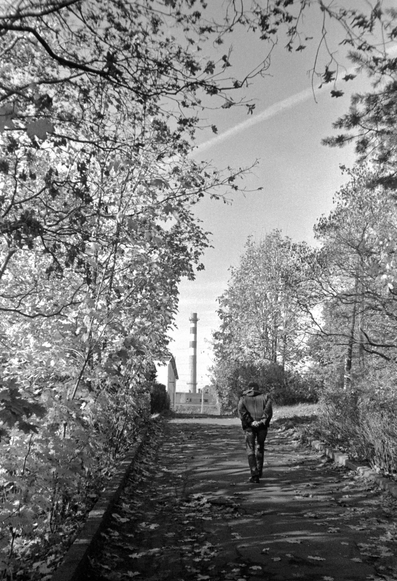 An elderly man walks along the road with his hands behind his back. There are many maples on the side of the road, casting a patterned shadow on the asphalt. An industrial smokestack can be seen in the background.
