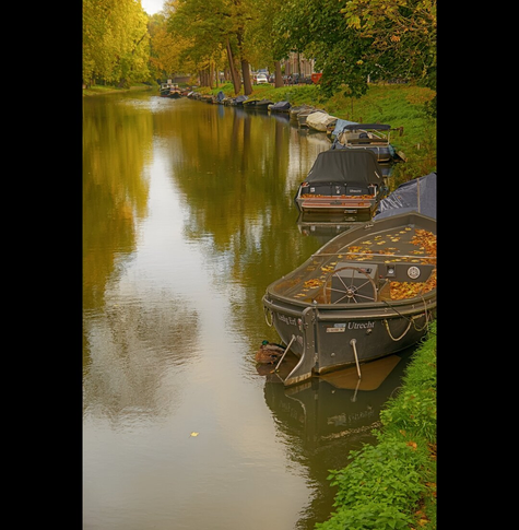 A canal with lots of small boats on one side. On both sides are trees and behind them a street and buildings.