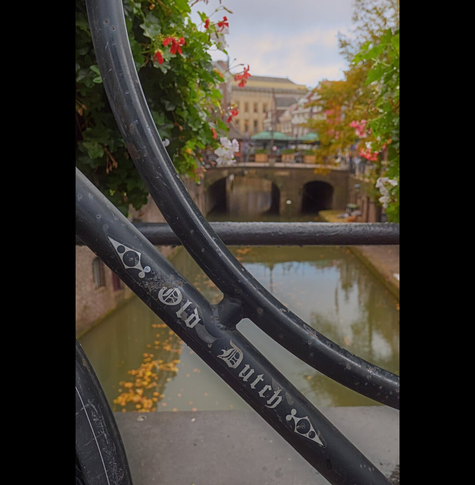 Part of a bike frame. The words "Old Dutch" are visible. The background is a canal through the city, with an old stone bridge and some buildings behind it. In the upper left and right corners of the photo are green plants.