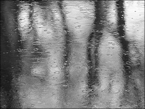 A black and white photograph showing light raindrops on water with the reflection of trees passing ominously through the frame.