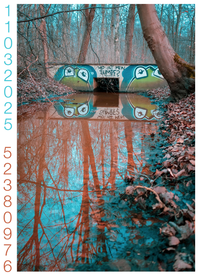 Bach im Wald. Bäume spiegeln sich im Wasser. Eine Fußgängerbrücke überquert den Bach. Auf der Brücke ist ein Graffito mit 2 Fröschen und dem Text: Wo ist mein Sumpf?