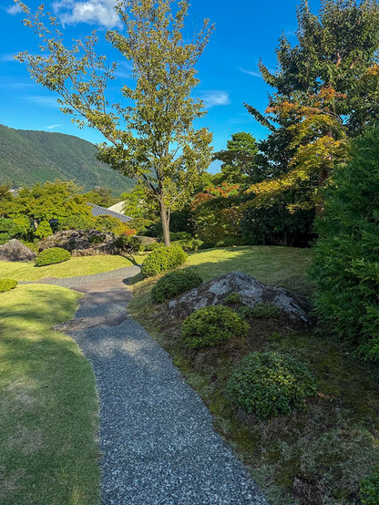 The garden of the Hakone museum of Art 