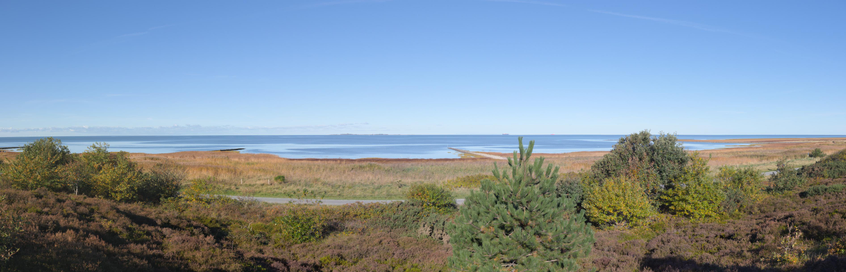 Ein sonniger Herbsttag bei Sahlenburg. Strahlend blauer Himmel. Nur wenige Wolken am linken Rand über den Horizont sind zu sehen. Die Insel Neuwerk kann man am Horizont nahe der Bildmitte sehen. Im mittleren Bild die auflaufende Flut der Nordsee im Wattenmeer. In der Ferne rechts von der Mitte, ist ein großes Frachtschiff, dass zur Elbe hochfährt. Davor Salzwiesen im Sonnenschein. Im Vordergrund sind ein paar niedrige Bäume und eine Kiefer auf einer Heide. Der Blick ist erhöht von dem auslaufenden Geestrücken, der dort endet. Zwischen Geest und Salzwiese verläuft quer ein Wanderweg. 
