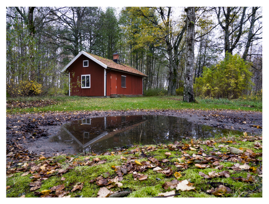 En liggande bild på ett rött igenbommat trähus med vita knutar. I förgrunden en vattenpöl som en del av huset speglas i. Gräsmatta med höstlöv och träd och buskar i bakgrunden.