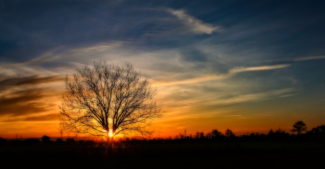 Eine Sonnenuntergangsszene auf dem Land. An der linken Seite steht ein Baum durch die an der tiefen großen Astgabelung die Sonne durchscheint.
Beim Foto ist das untere drittel extrem dunkel. Dann folgen die Farben Ro, Orange, Gelb die dann in das letzte Blau des Tages miteinander verwischen.