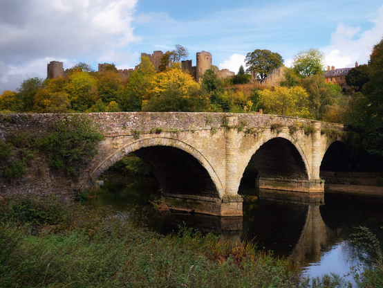 A magnificent stone bridge spans the River Teme at Dinham, its three graceful arches constructed from pale honey-coloured ashlar stone reflected in the still water below, whilst ivy and lichen cling to its weathered masonry and parapet walls that are dotted with small plants thriving in crevices. Dominating the skyline behind the bridge, the imposing ruins of Ludlow Castle rise majestically above the riverbank, its sturdy stone towers and crenellated walls partially softened by a vibrant display of autumnal foliage in shades of golden yellow, amber and green, with a red-brick Georgian building visible amongst the trees to the right. The foreground is framed by lush riverside vegetation including sedges and wild plants along the water's edge, whilst the clear blue sky dotted with white clouds and dappled sunlight create an atmospheric scene that captures the historical significance and natural beauty of this Shropshire landscape, showcasing the enduring engineering prowess of medieval craftsmen and the picturesque charm of the English countryside.