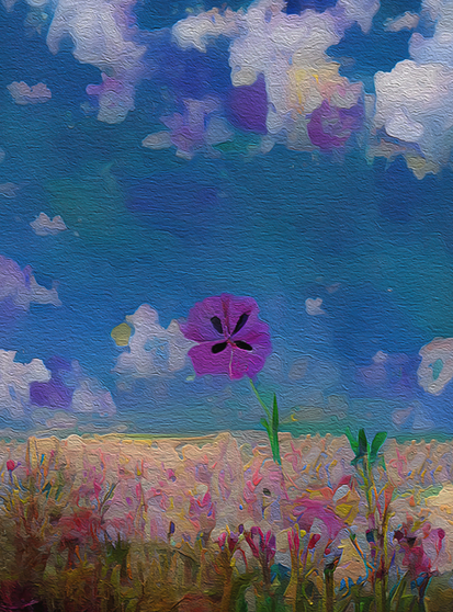 Summer Field of Wildflowers. In this impressionistic image, one lone purple flower stands tall against a seemingly endless field of many other multi-colored flowers under a brilliant blue summer sky dotted with white clouds. This joyful floral perfectly expresses what a beautiful summer day feels like to me - warm, happy, filled with beauty and clear bright colors.