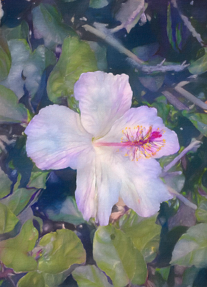 White bloom tinged with pink and purple against the varying greens of the garden foliage.