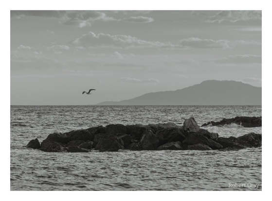 Black and white image of a seascape with a cluster of small rocks in the middle of the frame and a distant range of hills on the horizon. A seagull is in flight above the rocks.
