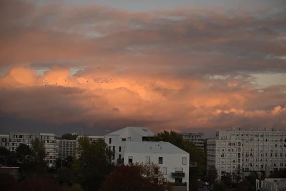 Paysage urbain au coucher du soleil. Nuages denses à la teinte très orangée. Des silhouttes d'oiseaux se détachent au loin devant les zones lumineuses.