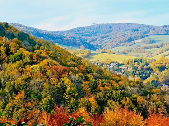 Fall in the wienerwald, lower austria