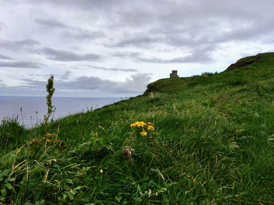 The Cliffs of Moher are sea cliffs located at the southwestern edge of the Burren region in County Clare, Ireland. They run for about 14 kilometres. 