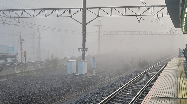 a photo of train tracks on a foggy morning
