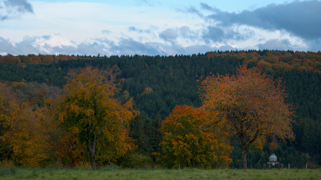 In the foreground, multiple trees in autumn yellow-orange-red colors on shallow green grass. Behind them a hill-side with dark green and some orange trees, with an almost straight horizon line, showing blue sky and some white and lead-colored clouds.