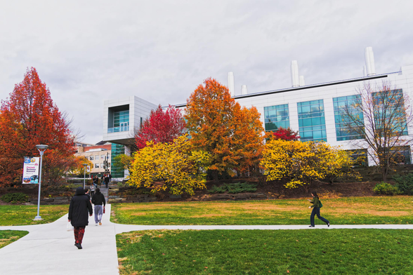 Luminous yellow, orange and red trees cast a yellow mantle of leaves on a green lawn in front of a white building with dramatic sky-reflecting windows