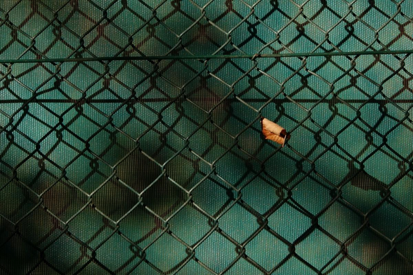A yellow leaf in a green fence 