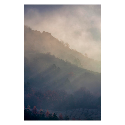 Vertical frame, Landscape. Layers of hills and trees silhouettes. Layer of clouds, fog, godrays. Yellow, a bit of blue and a hint of red