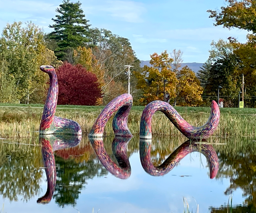 A massive snake sculpture, made by artist Javier Senosiain, emerges from a small pond on the grounds of the Clark Museum in Williamstown, MA. The sculpture is in 3 pieces, each made of bright purple and streaks of other colors mosaic tiles. The bottoms of each piece is below the water line so that the snake loops up in several spots. Its head is high above the water. The piece is titled “Coatia III.”