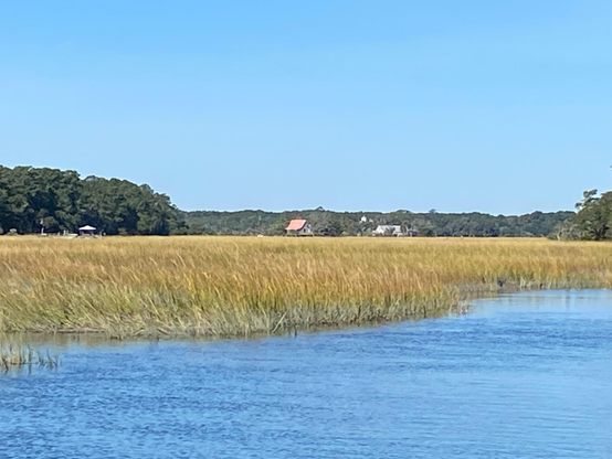 Color image of a tidal marsh along Store Creek, Edisto Island, South Carolina, USA. Image shows a brilliant blue sky over the march, the tall tan/green see grass above the blue water of the tidal marsh, a red-roofed 19th century cottage along the banks about a mile away across the marsh.