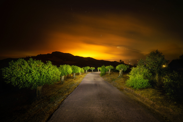 Lange, dunkle Strasse führt auf einen stark orange-gelb beleuchteten Horizont zu, hinter dem sich eine dunkle Silhouette eines Berges abzeichnet. Links und rechts der Strasse stehen einige Bäume mit leuchtend grünen Blättern, die durch künstliches Licht hervorgehoben werden. Der Nachthimmel darüber ist dunkel mit sichtbaren Sternspuren und einigen helleren Schleiern.