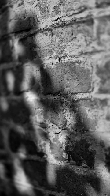 Schwarzweißfoto, das Licht und Schatten auf einer gemauerten Ziegelwand zeigt.