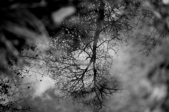 back to life, Belgium 2025