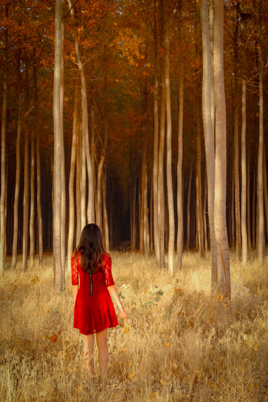 A woman with long dark hair, wearing a short red lace dress, stands in a golden autumn forest. Tall, slender trees with orange and brown leaves surround her, their trunks forming straight vertical lines that lead into a shadowy, mysterious depth. The dry grass beneath her glows in the warm light, creating a striking contrast against her vivid red dress.