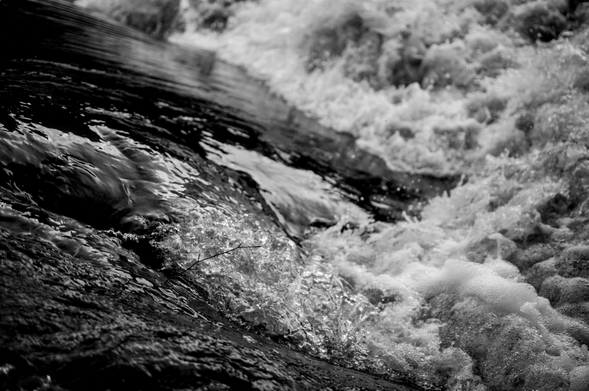 living in water, Belgium 2025