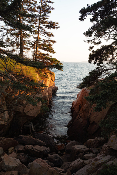 A photograph taken perpendicular to a shoreline on the coast of a tiny island in the Gulf of Maine. The photo is taken looking down a fissure in the rocky pink granite  shoreline. The ocean fills the bottom of the chasm and small waves lap at chunks of granite. On the left side of the fissure there are grass and spruce trees growing atop the ledge and the setting sun casts an orangey glow across them and the rock below. Spruce branches are visible on the right side too. The sea is relatively calm and an unsaturated blue. There are two islands on the hazy horizon.