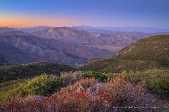 A landscape photo with a view from nearby hardy low-growing shrubs towards a barren desert landscape. The scene is tinted into the soft colors of post-sunset twilight. The sky is cloudless and clear, with a sliver of orange on the left side adding variation to cool blue.