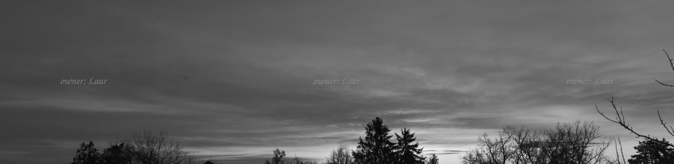 Panorama, clouds, trees, black and white, photo