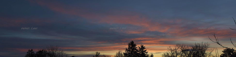 Panorama, clouds, trees, color, photo
