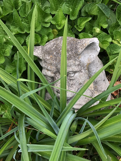 A mostly-grey concrete sculpture of a cat-like creature partly hidden by long blades of green grass.
