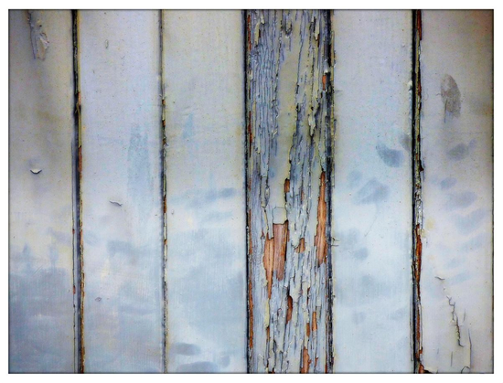 A colour photograph showing wooden planking from a door. The pale blue paint is heavily weather with on plank towards the centre of the frame looking notably in poorer condition due to cracking and flaking of paint revealing the natural wood beneath.