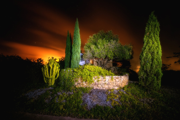 Eine nächtliche Gartenszene, beleuchtet von künstlichem Licht und einem warmen, orangefarbenen Himmel im Hintergrund. Im Vordergrund dominieren drei schlanke, hochgewachsene Zypressen, die sich dunkelgrün gegen den Himmel abheben. Links steht ein grosser, gelb leuchtender Kaktus mit vielen Armen, der fast surreal wirkt. Dahinter befindet sich eine kleine, von Pflanzen umgebene Steinmauer, die aus unregelmässigen, natürlichen Steinen gebaut ist. Im Hintergrund erkennt man einen alten Baum mit dichtem, verwobenem Geäst und einen weiteren, von Licht angestrahlten Busch. Der Himmel ist dunkel, fast schwarz, mit einem leichten Farbverlauf ins Orange – ein Kontrast zwischen der kühlen Nacht und dem warmen Licht der Szene.