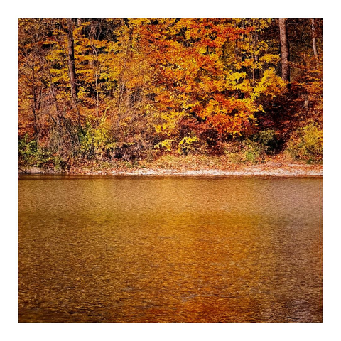 Bäume mit orangenen Laub am gegenüberliegenden Ufer mit Spiegelung im bewegten Wasser eines Flusses