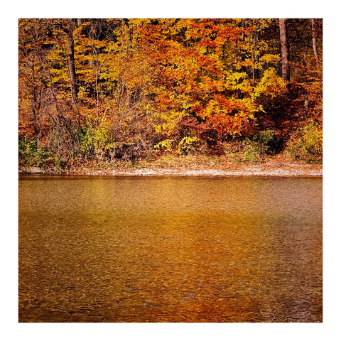 Bäume mit orangenen Laub am gegenüberliegenden Ufer mit Spiegelung im bewegten Wasser eines Flusses