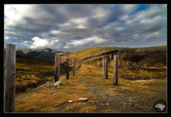 Autumn colours on Vikafjellet