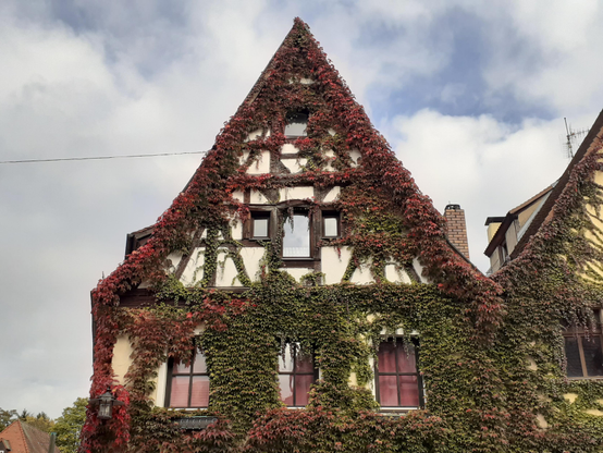 #Forchheim #Frankonia #Germany 
#photo #photography #photos 
#pictures #picture #photographie 