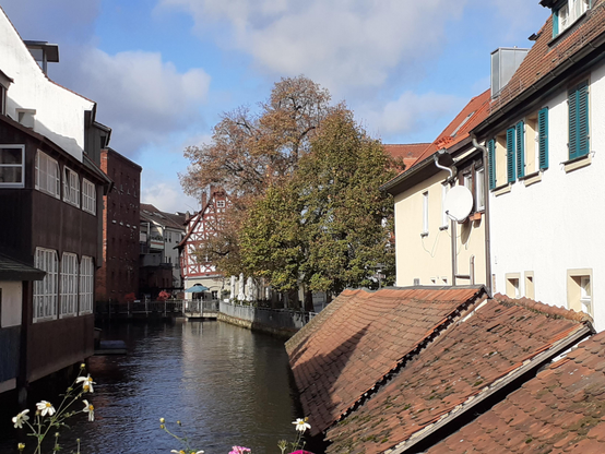 #Forchheim #Frankonia #Germany 
#photo #photography #photos 
#pictures #picture #photographie 
 