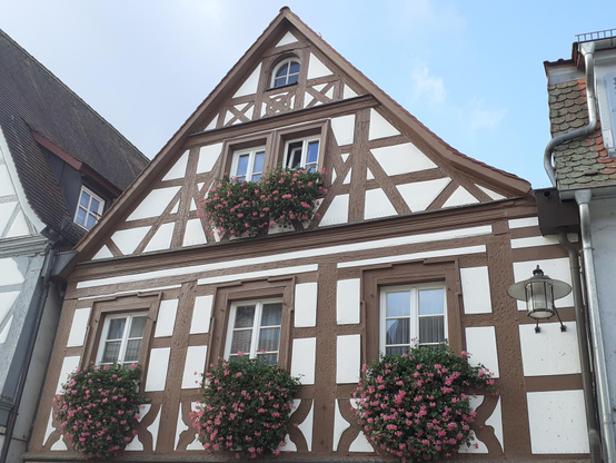 #Forchheim #Frankonia #Germany 
#photo #photography #photos 
#pictures #picture #photographie 
 