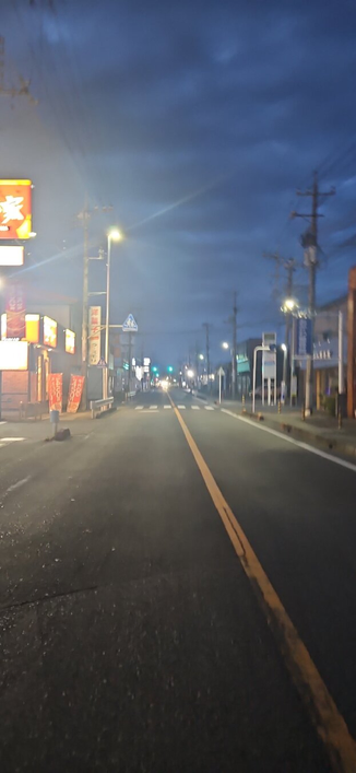 a photo of a street lie by street lights and the early dawn.